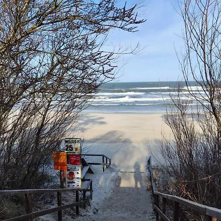 Obronny Jastrzab - 6os *